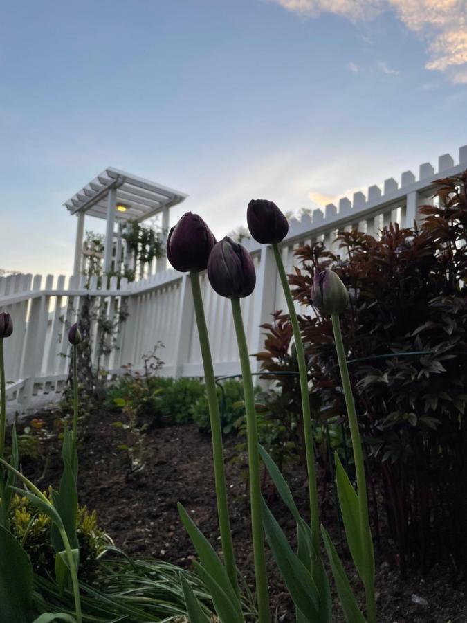 Studio Leilighet, Nyoppusset Langevag Luaran gambar